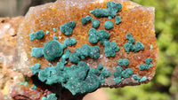 Natural Rare Ball Malachite On Drusy Quartz & Dolomite Specimens x 2 From Kambove, Congo - Toprock Gemstones and Minerals 