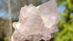 Natural Spirit Cactus Flower Quartz Clusters x 12 From Boekenhouthoek, South Africa - Toprock Gemstones and Minerals 