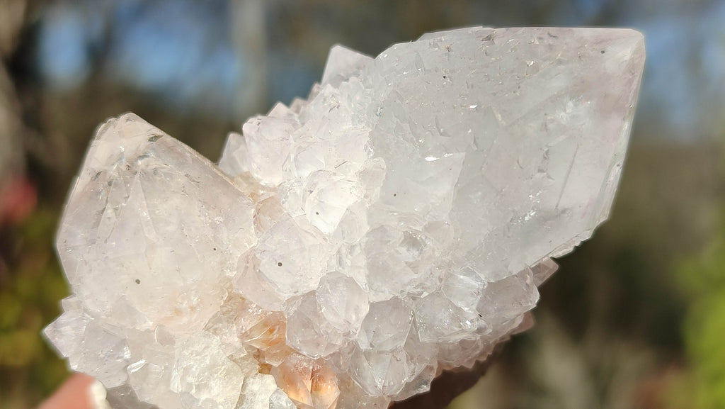 Natural Spirit Cactus Flower Quartz Clusters x 12 From Boekenhouthoek, South Africa - Toprock Gemstones and Minerals 