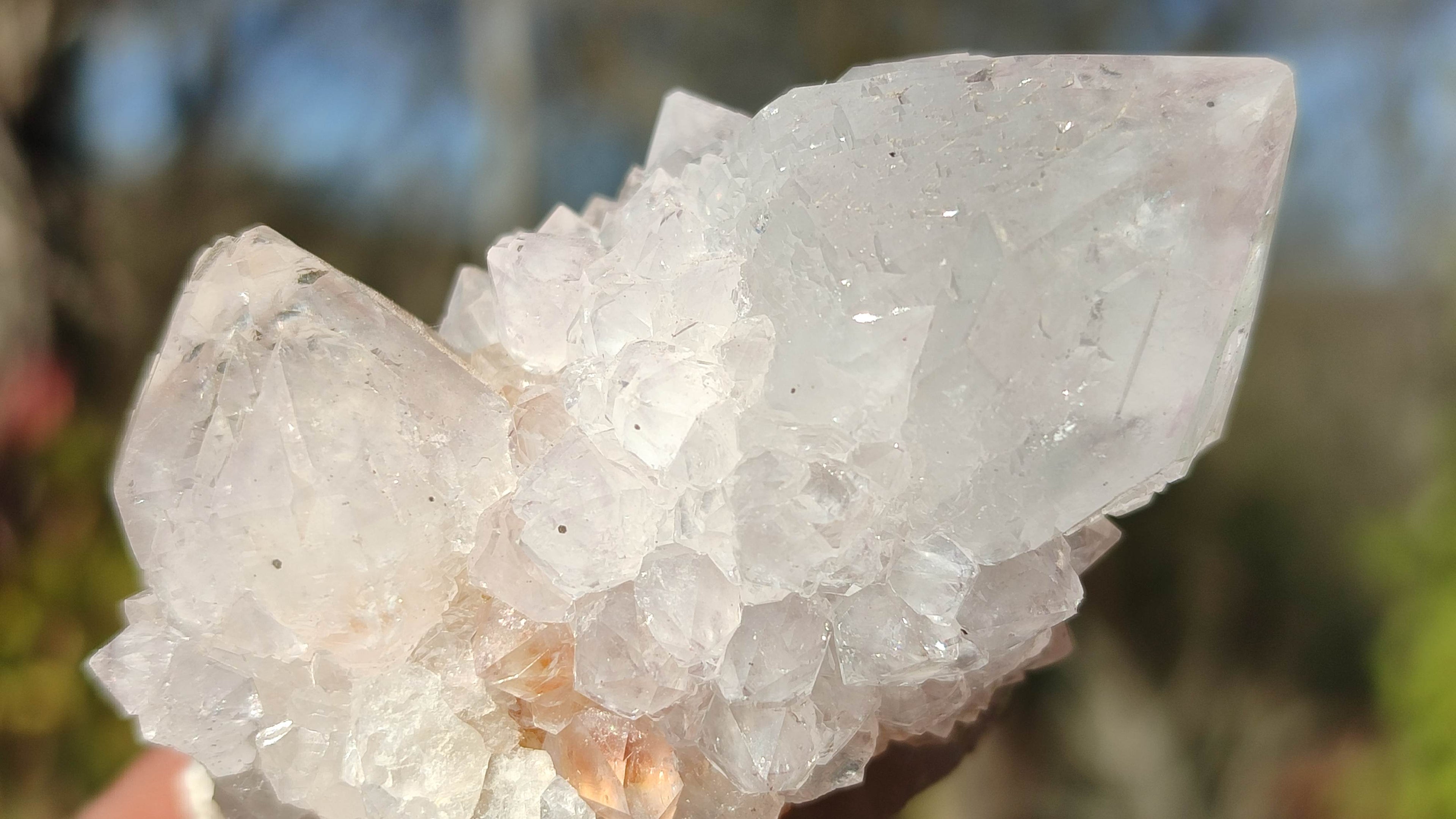 Natural Spirit Cactus Flower Quartz Clusters x 12 From Boekenhouthoek, South Africa - Toprock Gemstones and Minerals 