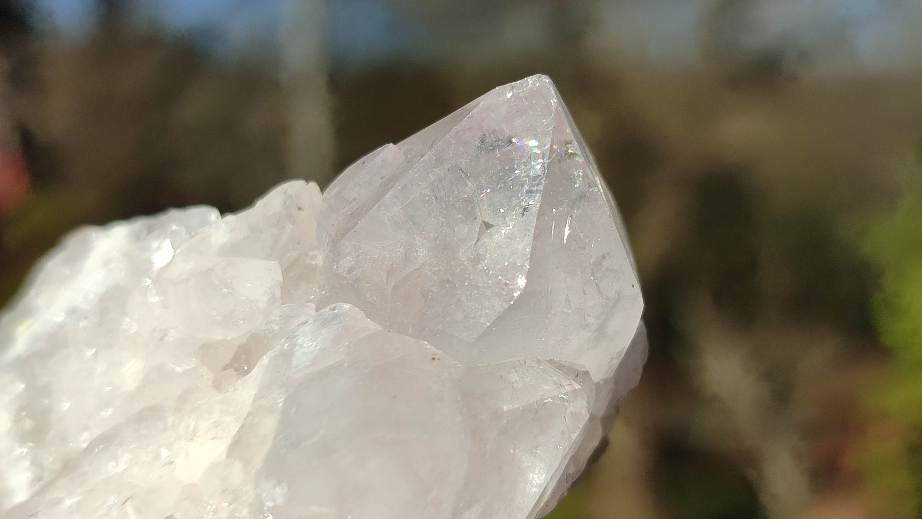 Natural Spirit Cactus Flower Quartz Clusters x 12 From Boekenhouthoek, South Africa - Toprock Gemstones and Minerals 