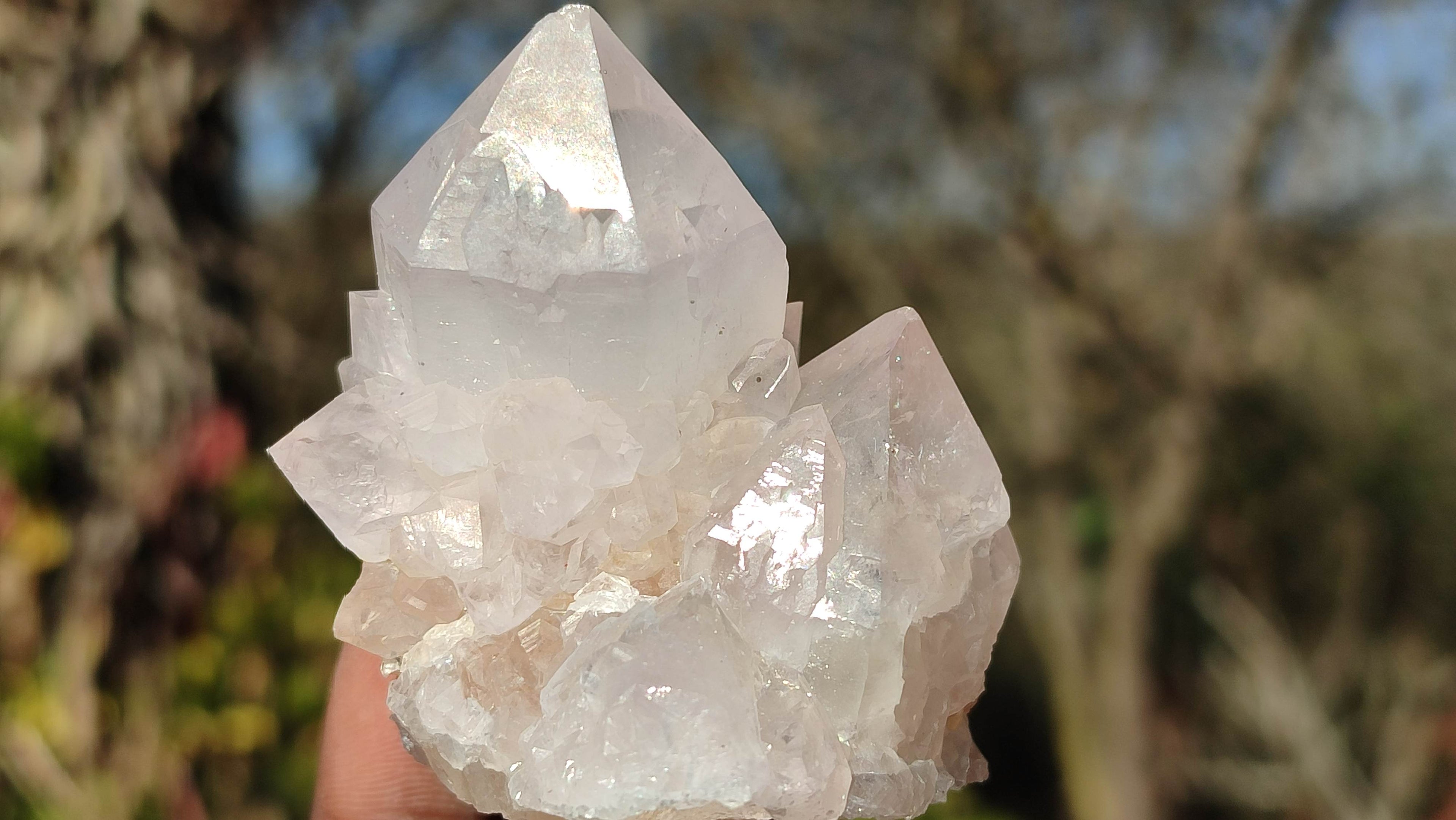 Natural Spirit Cactus Flower Quartz Clusters x 12 From Boekenhouthoek, South Africa - Toprock Gemstones and Minerals 