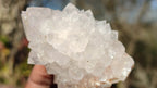 Natural Spirit Cactus Flower Quartz Clusters x 12 From Boekenhouthoek, South Africa - Toprock Gemstones and Minerals 