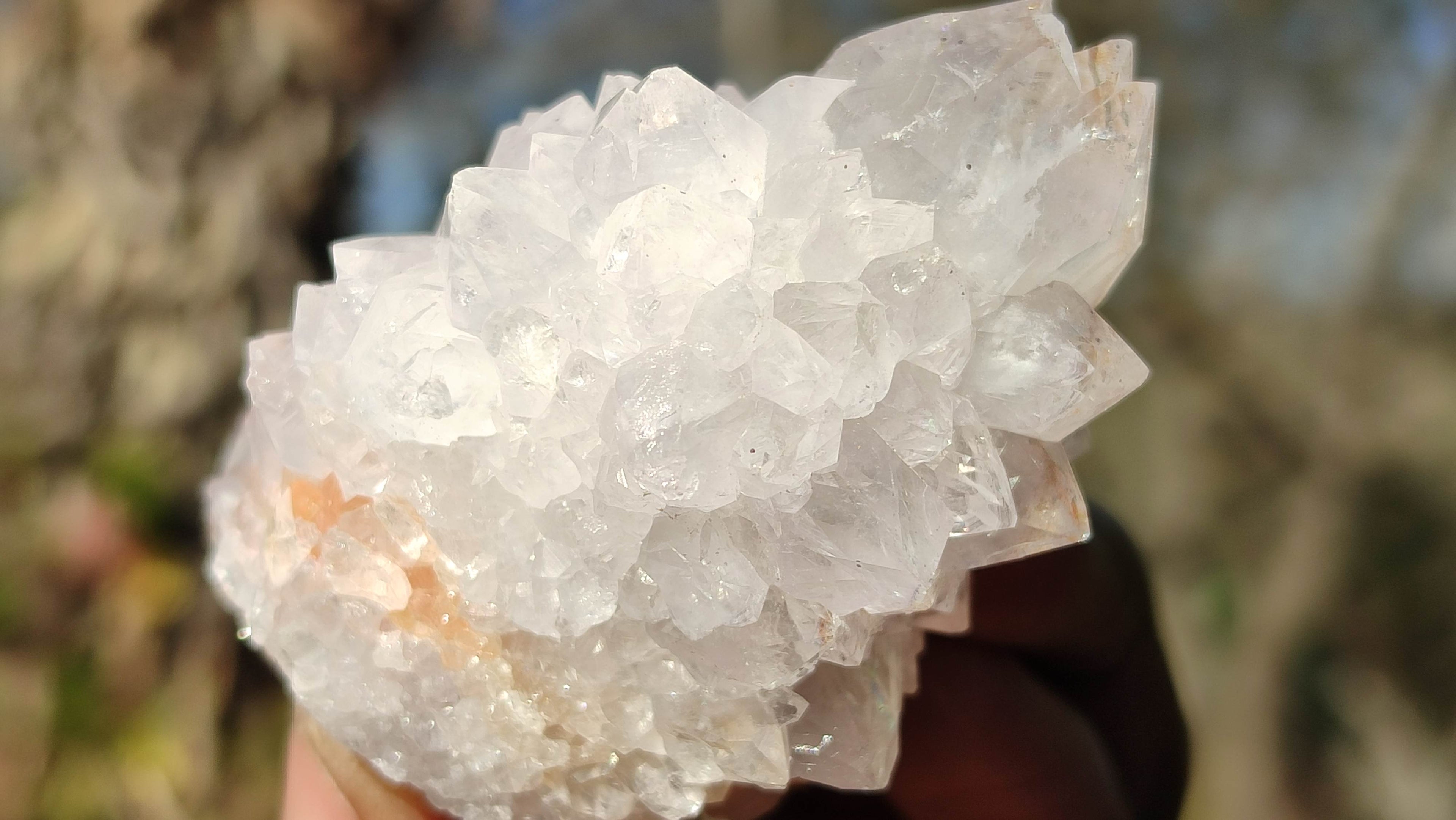 Natural Spirit Cactus Flower Quartz Clusters x 12 From Boekenhouthoek, South Africa - Toprock Gemstones and Minerals 