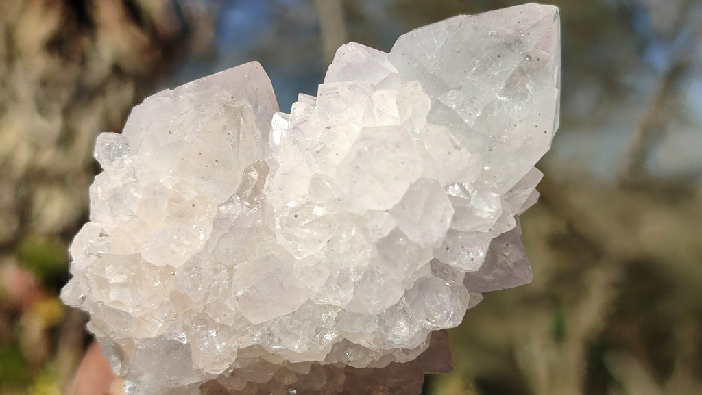 Natural Spirit Cactus Flower Quartz Clusters x 12 From Boekenhouthoek, South Africa - Toprock Gemstones and Minerals 