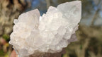 Natural Spirit Cactus Flower Quartz Clusters x 12 From Boekenhouthoek, South Africa - Toprock Gemstones and Minerals 