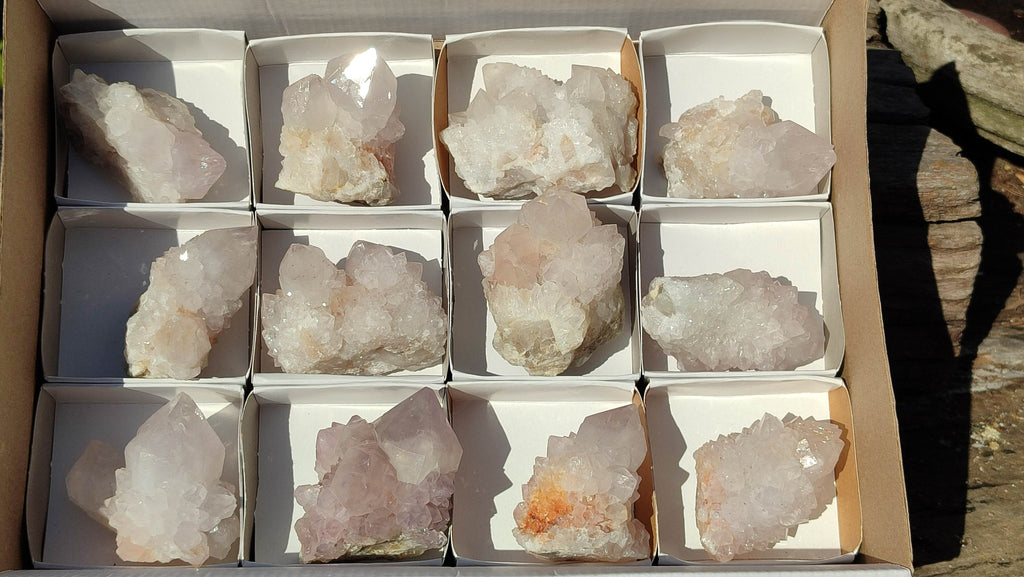 Natural Spirit Cactus Flower Quartz Clusters x 12 From Boekenhouthoek, South Africa - Toprock Gemstones and Minerals 