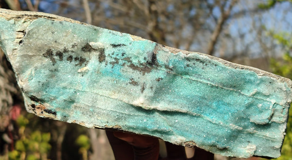 Natural Drusy Coated Chrysocolla Dolomite Specimen x 1 From Likasi, Congo - Toprock Gemstones and Minerals 