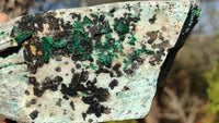 Natural Drusy Coated Chrysocolla Dolomite Specimen x 1 From Likasi, Congo - Toprock Gemstones and Minerals 