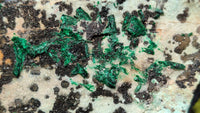 Natural Drusy Coated Chrysocolla Dolomite Specimen x 1 From Likasi, Congo - Toprock Gemstones and Minerals 
