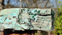 Natural Drusy Coated Chrysocolla Dolomite Specimen x 1 From Likasi, Congo - Toprock Gemstones and Minerals 