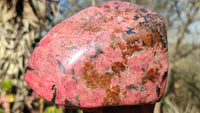 Polished Red Rhodonite Free Form x 1 From Zimbabwe - Toprock Gemstones and Minerals 