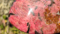 Polished Red Rhodonite Free Form x 1 From Zimbabwe - Toprock Gemstones and Minerals 
