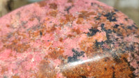 Polished Red Rhodonite Free Form x 1 From Zimbabwe - Toprock Gemstones and Minerals 