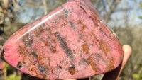 Polished Red Rhodonite Free Form x 1 From Zimbabwe - Toprock Gemstones and Minerals 