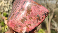 Polished Red Rhodonite Free Form x 1 From Zimbabwe - Toprock Gemstones and Minerals 