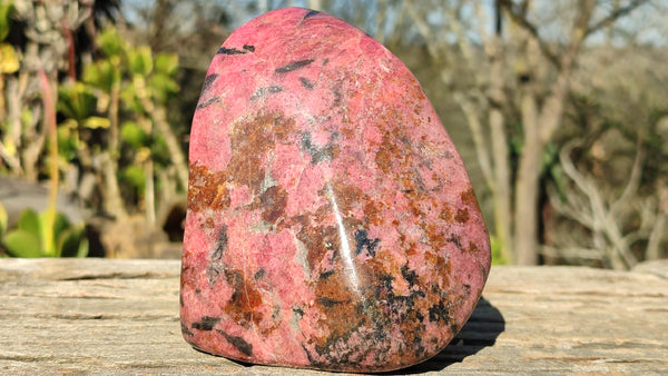 Polished Red Rhodonite Free Form x 1 From Zimbabwe - Toprock Gemstones and Minerals 