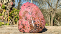 Polished Red Rhodonite Free Form x 1 From Zimbabwe - Toprock Gemstones and Minerals 