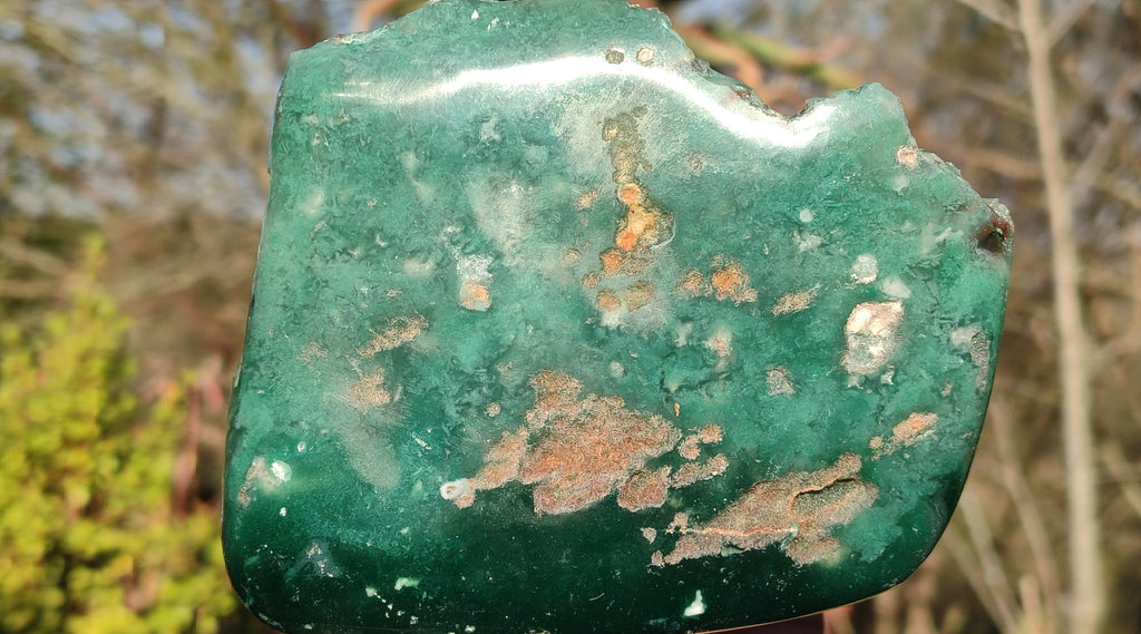 Polished On One Side Emerald Mtorolite Plates x 6 From Mutorashanga, Zimbabwe - Toprock Gemstones and Minerals 
