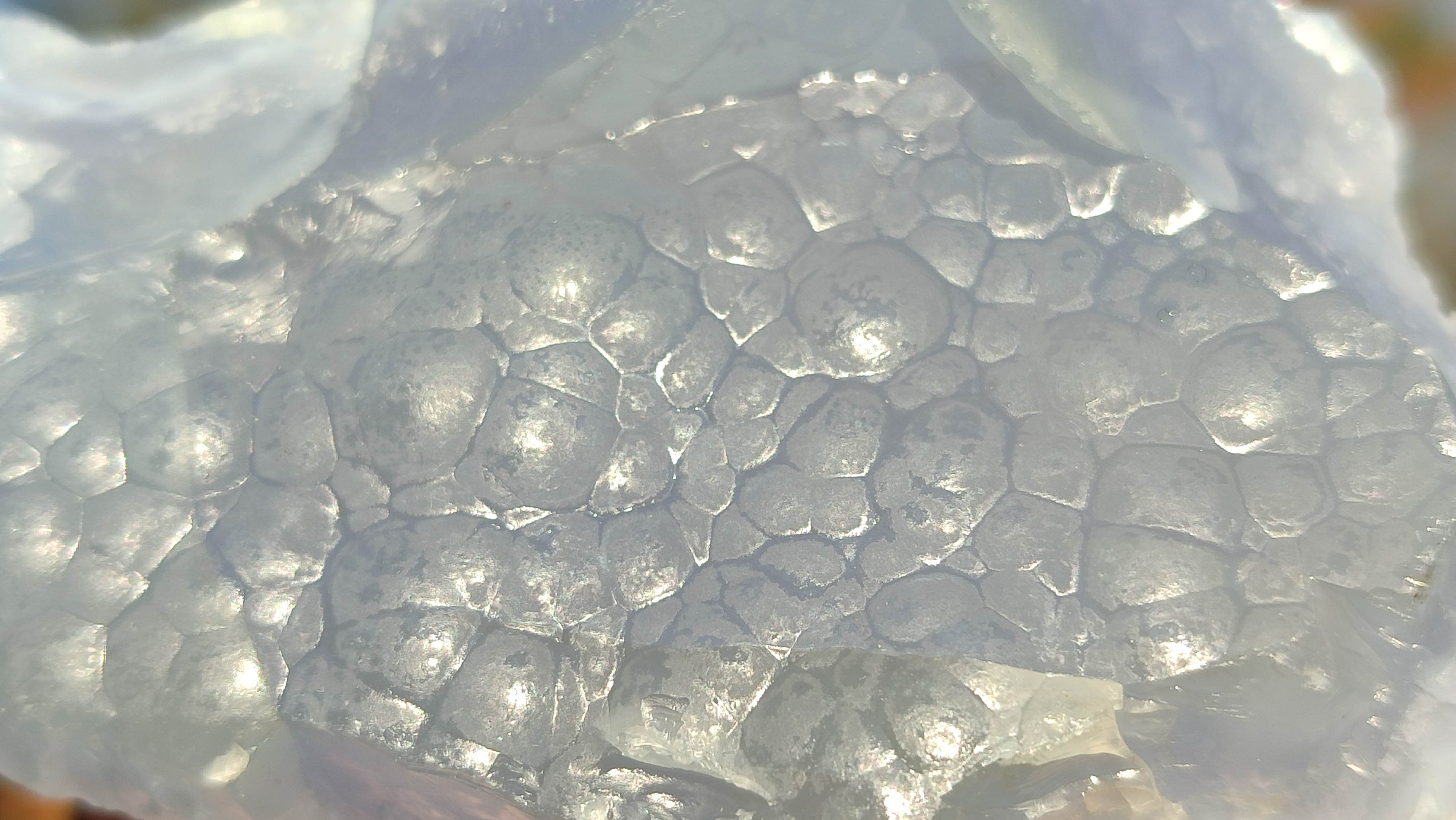 Natural Etched Blue Chalcedony Specimens x 2 From Nsanje, Malawi - Toprock Gemstones and Minerals 