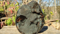 Polished Septerye Sauvage Dragons Egg Standing Free Form x 1 From Madagascar - Toprock Gemstones and Minerals 
