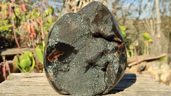 Polished Septerye Sauvage Dragons Egg Standing Free Form x 1 From Madagascar - Toprock Gemstones and Minerals 