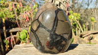 Polished Septerye Sauvage Dragons Egg Standing Free Form x 1 From Madagascar - Toprock Gemstones and Minerals 