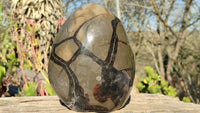 Polished Septerye Sauvage Dragons Egg Standing Free Form x 1 From Madagascar - Toprock Gemstones and Minerals 