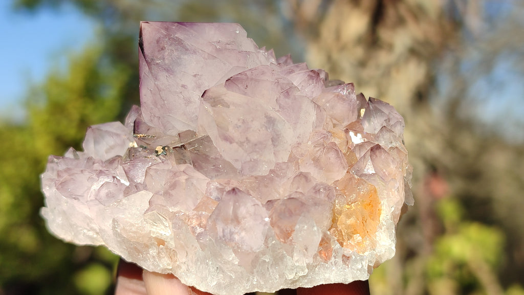 Natural Spirit Amethyst Quartz Clusters x 12 From Boekenhouthoek, South Africa - Toprock Gemstones and Minerals 