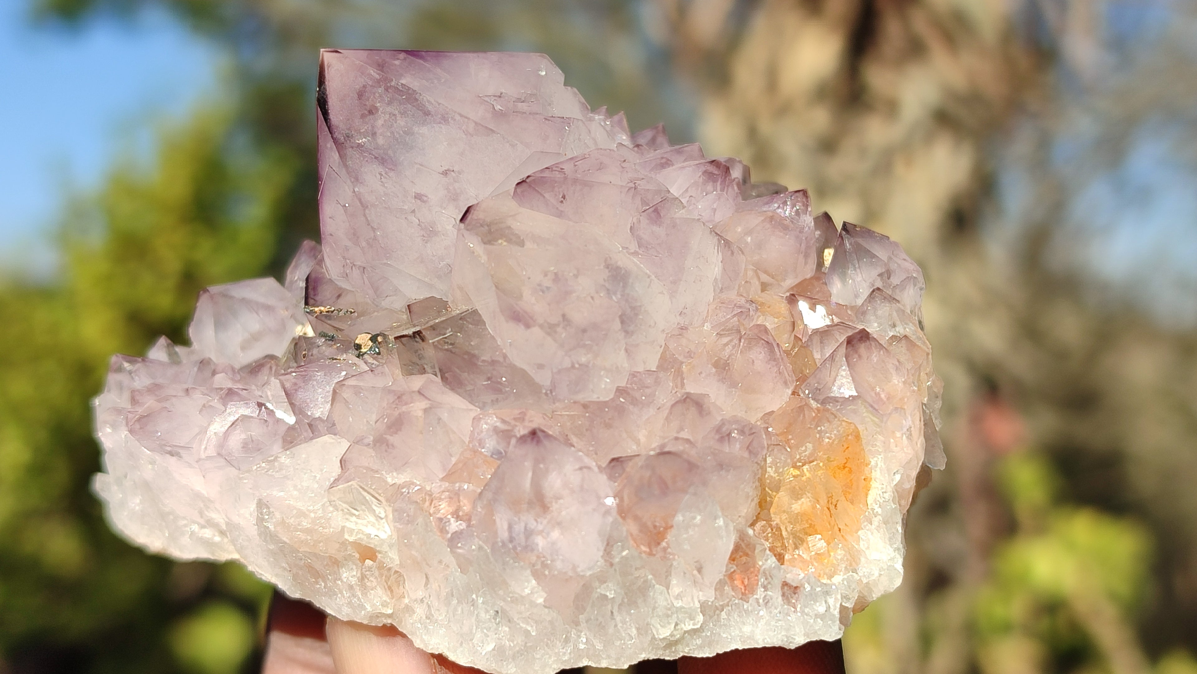 Natural Spirit Amethyst Quartz Clusters x 12 From Boekenhouthoek, South Africa - Toprock Gemstones and Minerals 