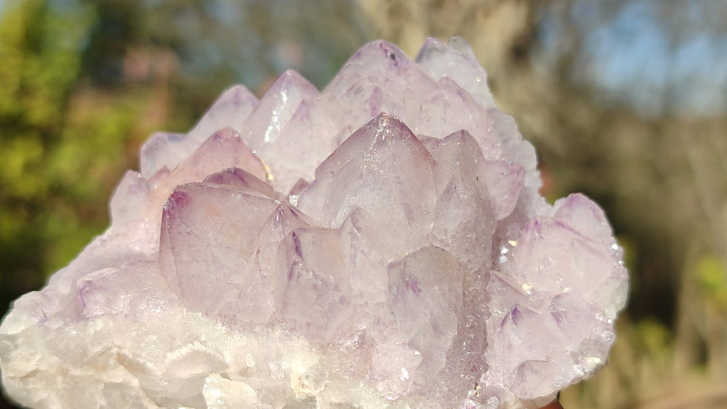 Natural Spirit Amethyst Quartz Clusters x 12 From Boekenhouthoek, South Africa - Toprock Gemstones and Minerals 