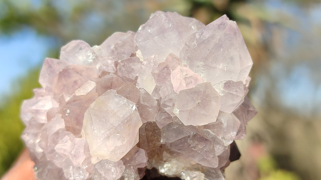 Natural Spirit Amethyst Quartz Clusters x 12 From Boekenhouthoek, South Africa - Toprock Gemstones and Minerals 
