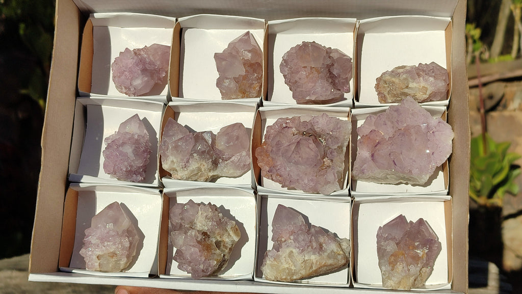 Natural Spirit Amethyst Quartz Clusters x 12 From Boekenhouthoek, South Africa - Toprock Gemstones and Minerals 