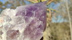 Polished Single Amethyst Crystals x 4 From Mumbwe, Zambia - Toprock Gemstones and Minerals 