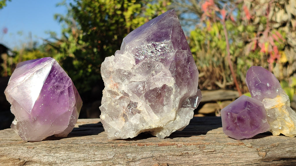Polished Single Amethyst Crystals x 4 From Mumbwe, Zambia - Toprock Gemstones and Minerals 