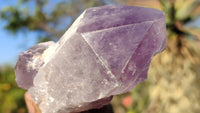 Polished Stunning Amethyst Crystals x 6 From Southern Africa - Toprock Gemstones and Minerals 