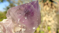 Polished Stunning Amethyst Crystals x 6 From Southern Africa - Toprock Gemstones and Minerals 
