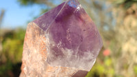 Polished Stunning Amethyst Crystals x 6 From Southern Africa - Toprock Gemstones and Minerals 