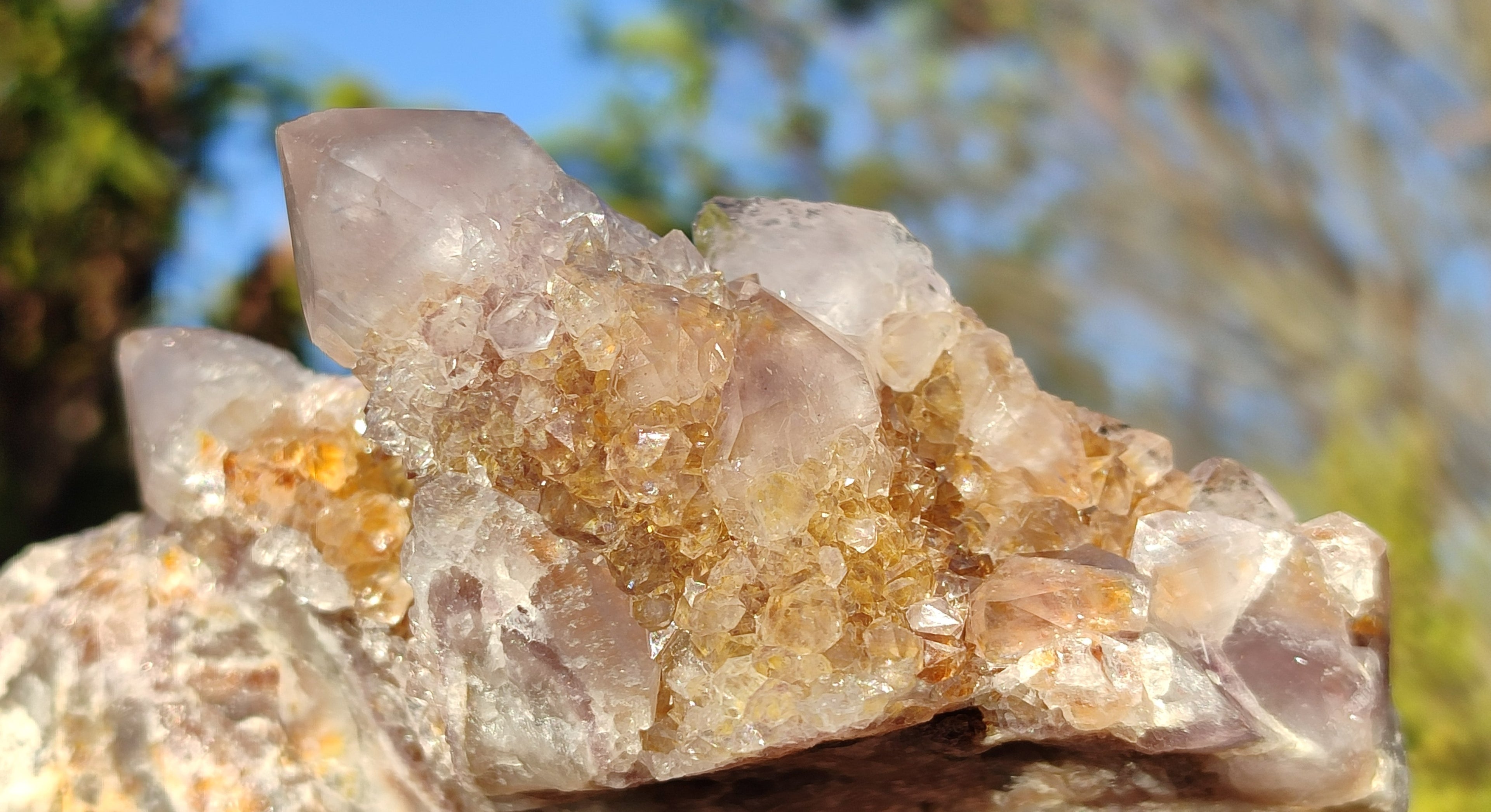 Natural Drusy Coated Spirit Cactus Flower Quartz Formations x 2 From Boekenhouthoek, South Africa - Toprock Gemstones and Minerals 
