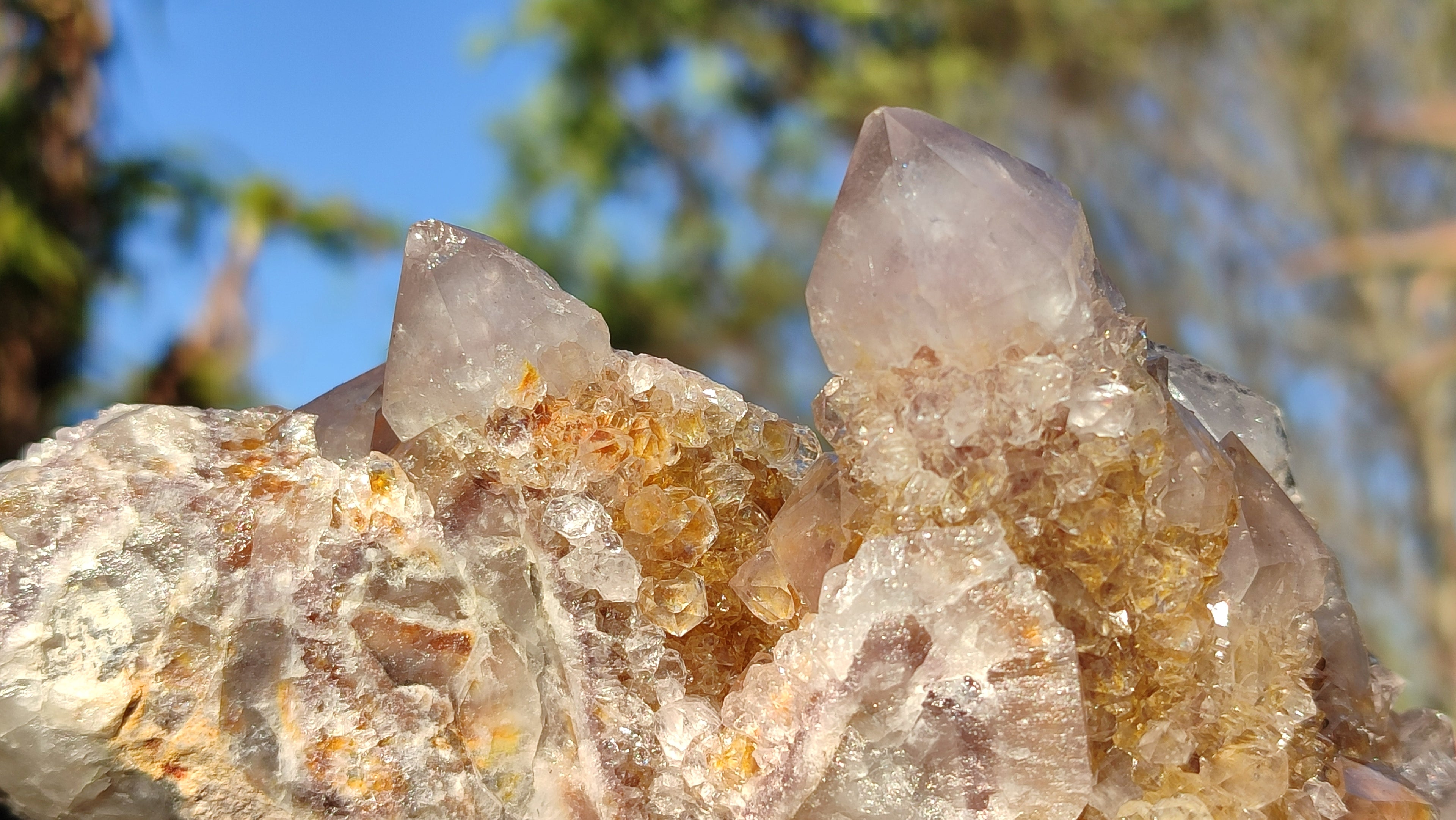 Natural Drusy Coated Spirit Cactus Flower Quartz Formations x 2 From Boekenhouthoek, South Africa - Toprock Gemstones and Minerals 