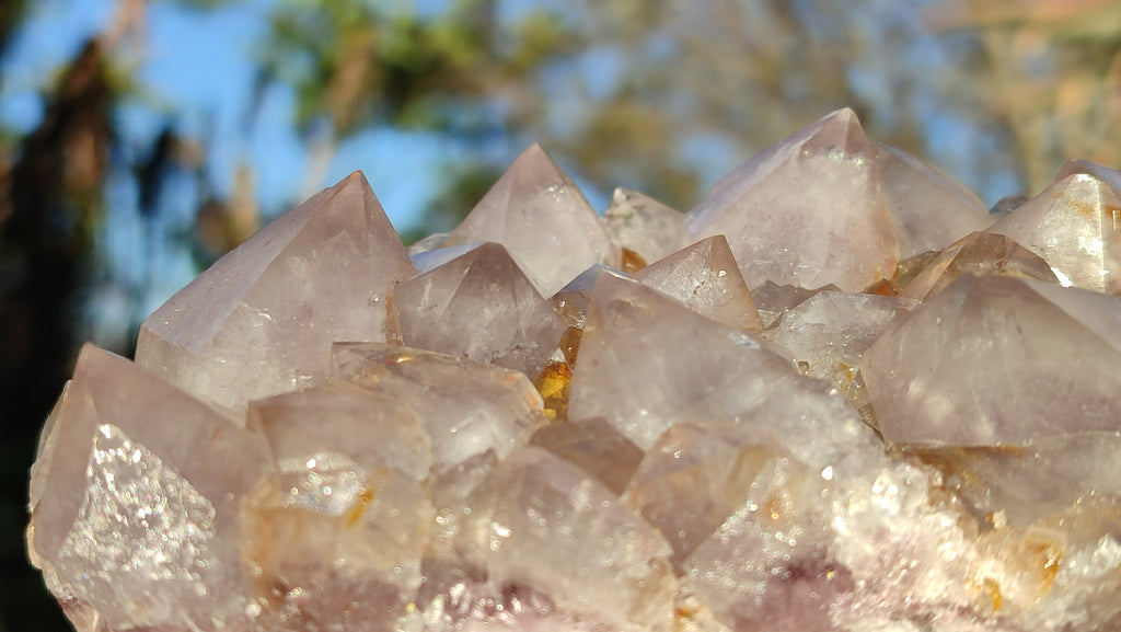 Natural Drusy Coated Spirit Cactus Flower Quartz Formations x 2 From Boekenhouthoek, South Africa - Toprock Gemstones and Minerals 
