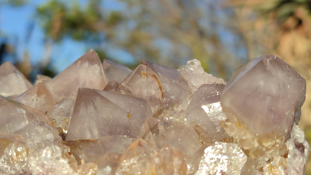 Natural Drusy Coated Spirit Cactus Flower Quartz Formations x 2 From Boekenhouthoek, South Africa - Toprock Gemstones and Minerals 