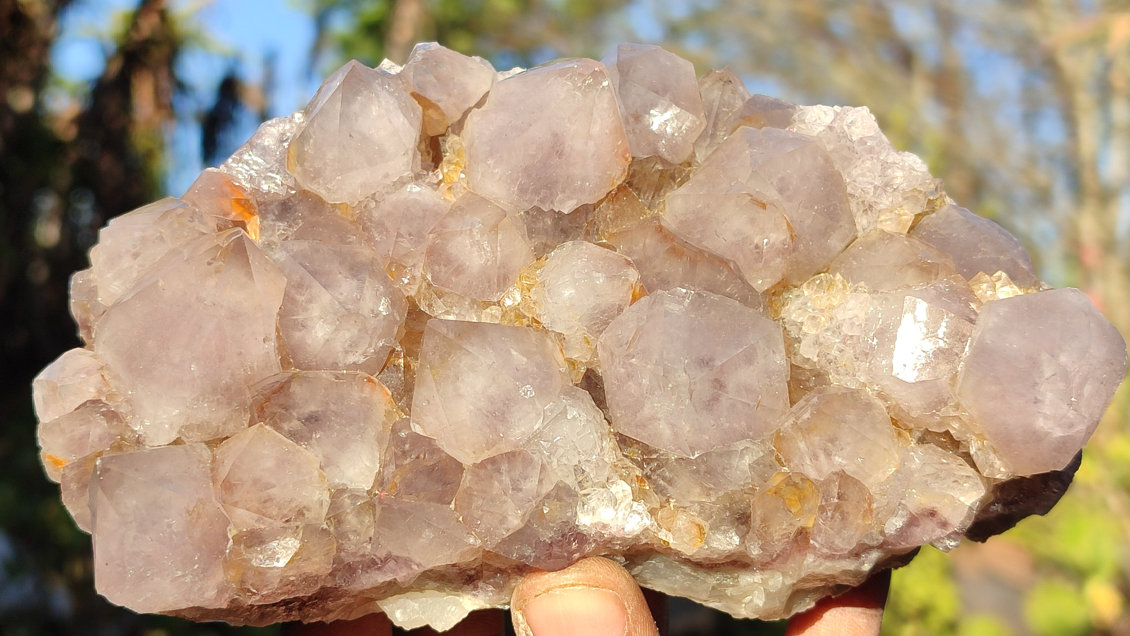 Natural Drusy Coated Spirit Cactus Flower Quartz Formations x 2 From Boekenhouthoek, South Africa - Toprock Gemstones and Minerals 