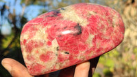 Polished Red Rhodonite Free Forms x 3 From Zimbabwe - Toprock Gemstones and Minerals 