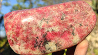 Polished Red Rhodonite Free Forms x 3 From Zimbabwe - Toprock Gemstones and Minerals 