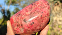 Polished Red Rhodonite Free Forms x 3 From Zimbabwe - Toprock Gemstones and Minerals 
