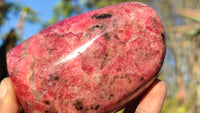 Polished Red Rhodonite Free Forms x 3 From Zimbabwe - Toprock Gemstones and Minerals 