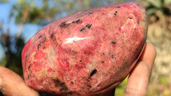 Polished Red Rhodonite Free Forms x 3 From Zimbabwe - Toprock Gemstones and Minerals 
