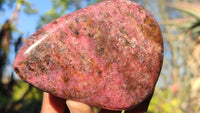 Polished Red Rhodonite Free Forms x 3 From Zimbabwe - Toprock Gemstones and Minerals 