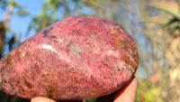 Polished Red Rhodonite Free Forms x 3 From Zimbabwe - Toprock Gemstones and Minerals 